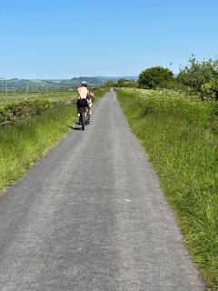 Bikes and more bikes.  The flat tarmac of the Tarka Trail makes it a very popular biking spot, we were passed by over 300 bikes on this day!